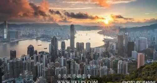 91麻豆精品国产人妻系列-探索国产人妻系列——91麻豆精品的多元魅力