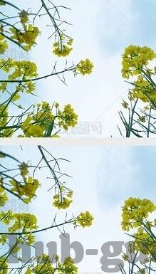 波多野结衣高清无碼中文字幕-波多野结衣，影视艺术中的独特魅力与文化探讨
