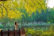 国产av剧情md精品麻豆-优秀国产伴侣小白片，解锁情感新体验的精选集锦