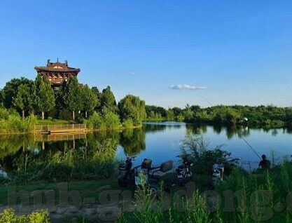 麻豆视频无限次数-探索麻豆视频无限次数的数字娱乐新世界
