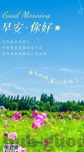日本高清一区和二区免费-探索日本高清一区与二区的免费资源，理性视角下的网络文化现象