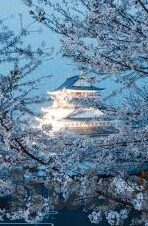 日韩av电影一区-日韩AV电影一区，文化现象与市场透视