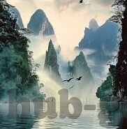 日韩伦理视频直播-探索日韩伦理视频直播，文化、社会与个人视角的交织