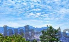 糖心直播app免登录-了解真实体验，探索非登录平台——糖心直播的隐私与魅力