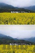 vlogcom糖心官网免费进入-解锁时代潮流，探索Vlogcom糖心官网的免费入场通道